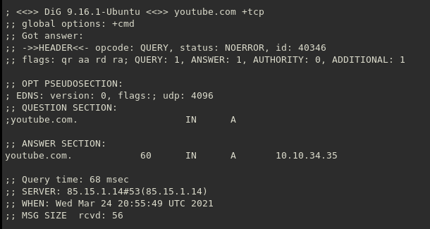 dns dig youtube tcp